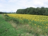 val-de-loire-verso-chaumont_1