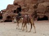 Antica città di Petra - complesso di Jabal al-Khubtah, le cui costruzioni portano il nome di Tombe Reali. L’appellativo è dovuto alla magnificenza delle decorazioni, alla grandezza degli edifici e al fatto che fossero stati realizzati appunto come ultima dimora di dignitari e sovrani nabatei. Una accanto all'altra, soprattutto se guardate da lontano, tutte le tombe che formano questo gruppo maestoso sono uno spettacolo incantevole